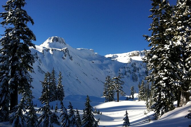 From Seattle - Private Mt Baker and Cascades Tour in SUV - Nooksack Falls and Picture Lake: Two Quick Wins for Water Lovers