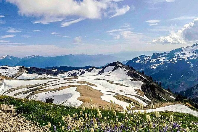 From Seattle - Private Mt Baker and Cascades Tour in SUV - Price and Value: Is $950 Worth It for a Private Group?