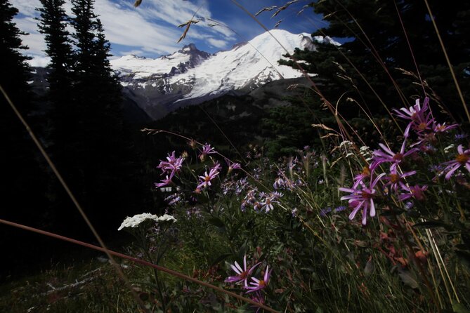 From Seattle: Private Tour to Mt. Rainier - Pickup, Timing, and How to Set Yourself Up for a Smooth Day