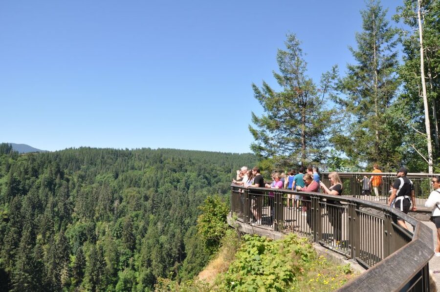 From Seattle: Snoqualmie Falls and Wineries Tour w/ Transfer - Guides, pacing, and why the day feels organized