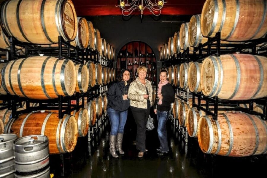 From Seattle: Snoqualmie Falls & Woodinville Wine Tasting - Boutique tastings: how you compare 4 to 6 wines per stop
