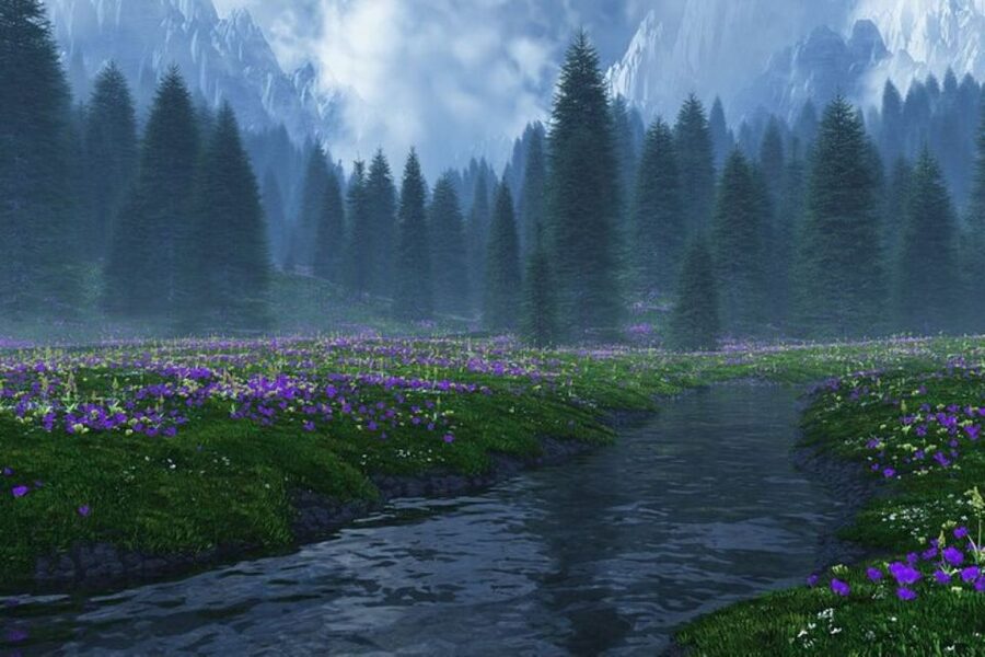 From Seattle: Twilight Forks Washington Tour - Key things you will remember