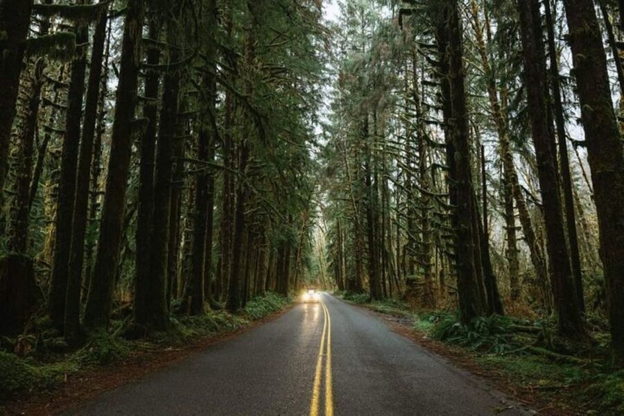 From Seattle: Twilight Forks Washington Tour - Forks in the rain: why this town works even if you are not a superfan