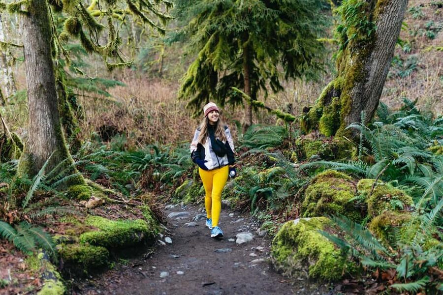From Seattle: Visit Snoqualmie Falls and Hike to Twin Falls - Snoqualmie Falls: two viewpoints that change how you read the water