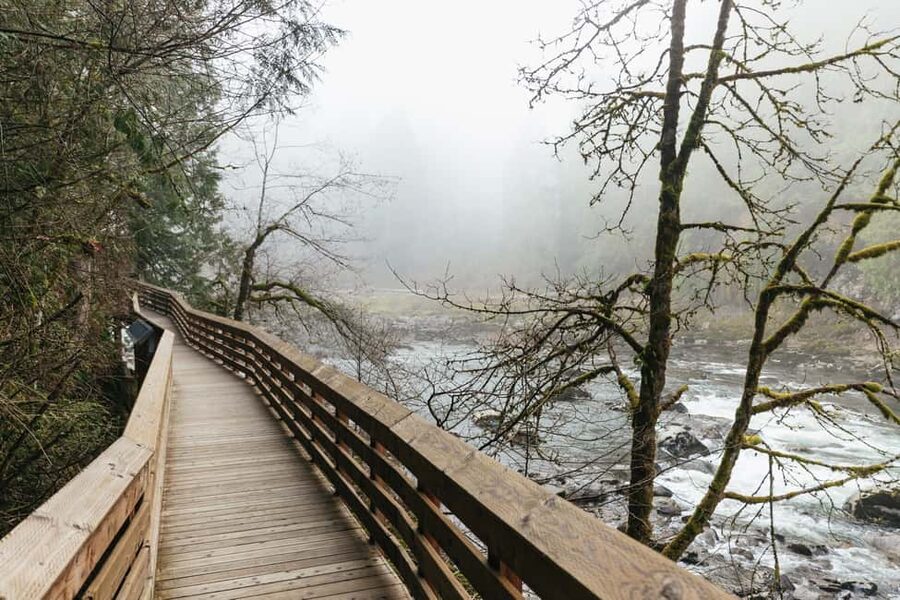 From Seattle: Visit Snoqualmie Falls and Hike to Twin Falls - The Cascade rainforest hike: what to expect on the Twin Falls trail