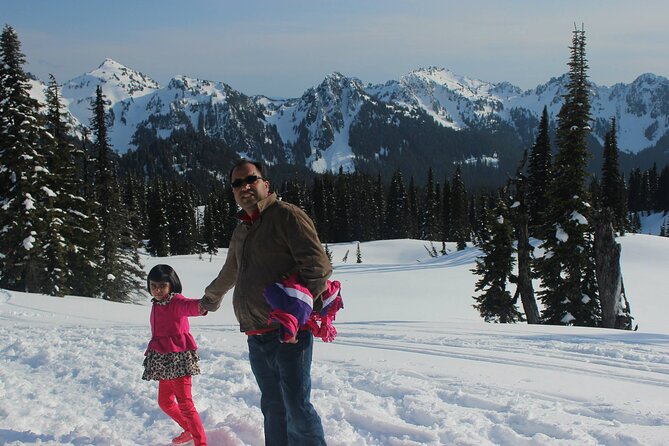 Full-Day Mt Rainier National Park Private Tour in SUV - Stop-by-stop: what each Rainier moment is for