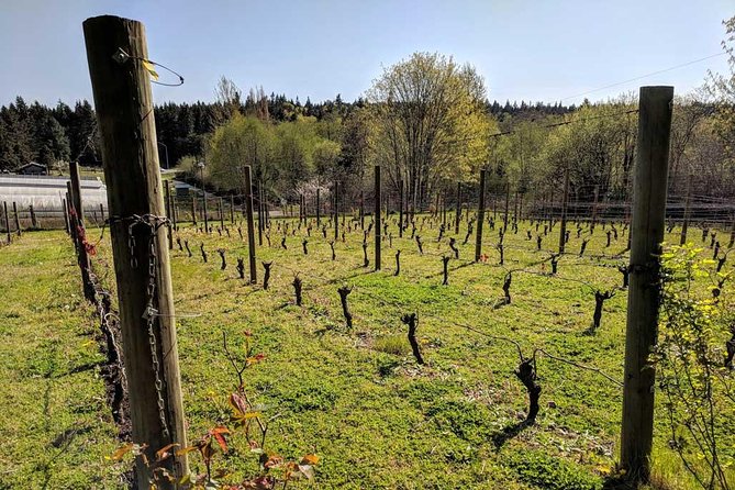 Full-Day Small-Group Bainbridge Island Wine and History Tour - Key things to know before you go