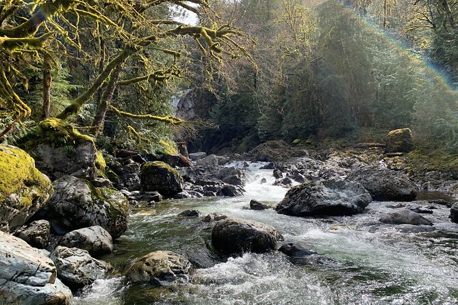 Guided forest hike to Seattle waterfalls incl. Snoqualmie Falls - Ollalie State Park old growth hike: Twin Falls and Upper Falls on a real trail