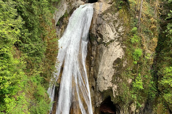 Guided forest hike to Seattle waterfalls incl. Snoqualmie Falls - North Bend and Snoqualmie: logging-town details and the Twin Peaks connection