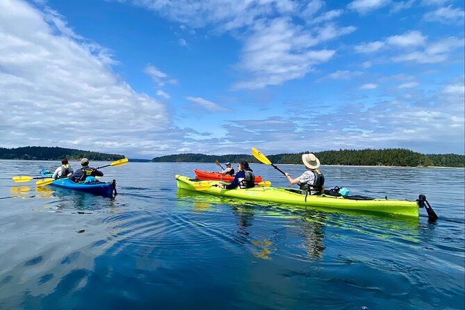 Guided Kayak Tour To Hope Island State Park - Key Highlights You Should Know Before You Go