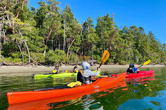 Guided Kayak Tour To Hope Island State Park - Stop at Hope Island State Park Trail: Trails, Old Growth Feel, and a Picnic Moment