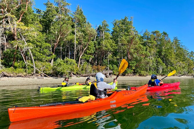 Guided Kayak Tour To Hope Island State Park - What to Bring: Wet Shoes, Synthetic Layers, and Your Own Water