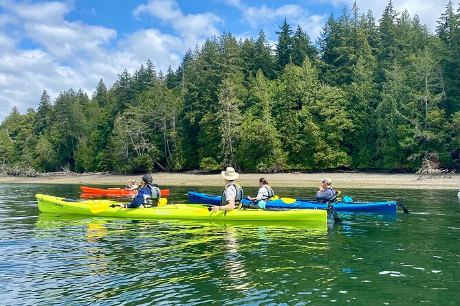 Guided Kayak Tour To Hope Island State Park - Fitness Level and Limits: Who This Tour Fits Best
