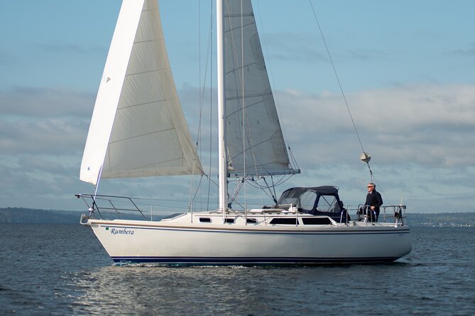 Guided Seattle Sailing Adventure from Bainbridge Island - Why this Bainbridge Island sailing feels different from Seattle cruises