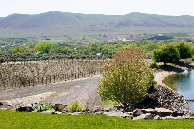 Hike Mt. Rainier & Taste Yakima Valley Wine: All-Inclusive Day Tour from Seattle - Seattle to Mt. Rainier to Yakima Valley: what your 12 hours feels like