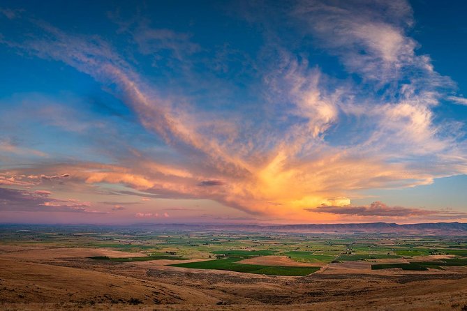 Hike Mt. Rainier & Taste Yakima Valley Wine: All-Inclusive Day Tour from Seattle - Guide impact: the naturalist role is the difference-maker