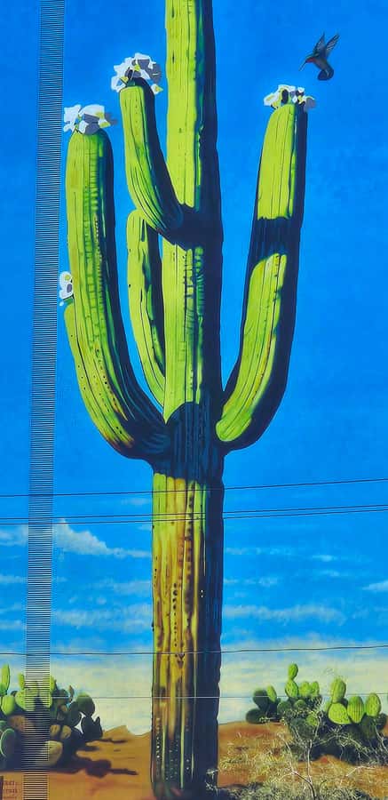 Historic Tucson Walking Tour - Downtown Tucson, packed into a 60 minute walk