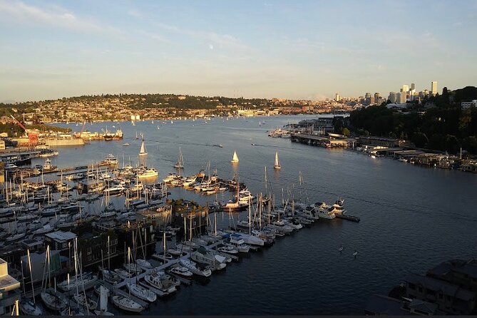 Hourly City and or Wine Tours of Seattle Wa - Price and Value: When $365 per Group Makes Sense