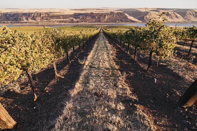 Hurray for Hollywood, Woodinville Winery Pass - Key points to know before you go