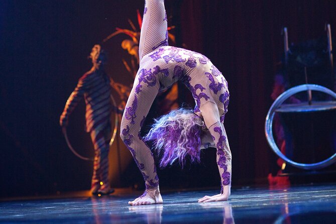 Kooza by Cirque du Soleil: Under the Big Top in Seattle, WA - Price and Value at $850: What You Are Paying For