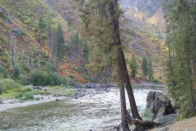 Luxury Leavenworth Day Trip through the Cascade Mountains - Deception Falls: the walk-over bridge and an easy trail option