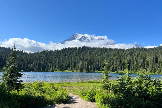 Mount Rainier Customized Tour from Seattle - Alder Dam and Alder Lake: the quiet start that sets expectations