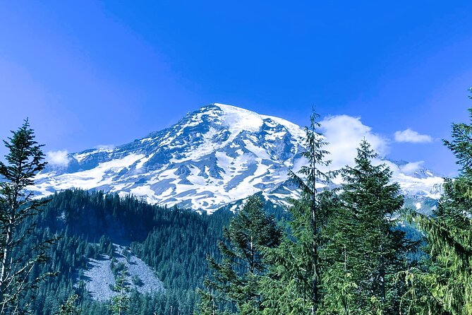 Mount Rainier Customized Tour from Seattle - Elbe, the train-town detour you will remember
