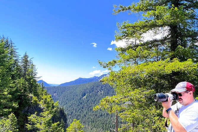 Mount Rainier Customized Tour from Seattle - Christine Falls: a quick viewpoint that still feels special