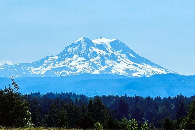 Mount Rainier Customized Tour from Seattle - Narada Falls: big waterfall energy with a real time block