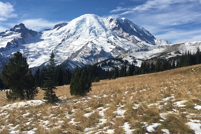 Mount Rainier Day Hike - How the Guide Turns a Trail Into a Story