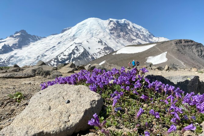 Mount Rainier Day Hike - Stop at Mount Rainier National Park: What You’ll Actually Do