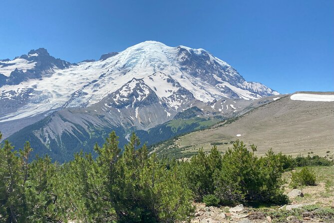 Mount Rainier Day Hike - Fitness Check: Who This Tour Fits Best