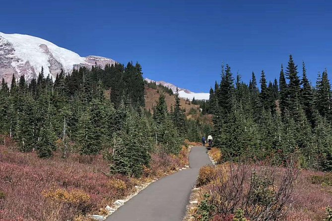 Mount Rainier National Park Day Tour from Seattle - The big idea: why this Mount Rainier day tour works without a car