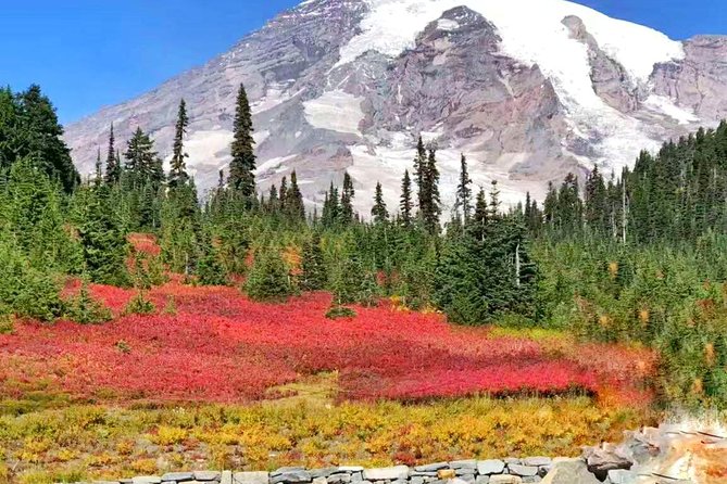 Mount Rainier National Park Day Tour from Seattle - Paradise Loop and the Henry M. Jackson Visitor Center: the heart of the day