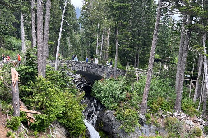 Mount Rainier Private Full Day — Sprinter Van or SUV - Sunrise Point at about 6,400 feet, where the views go wide