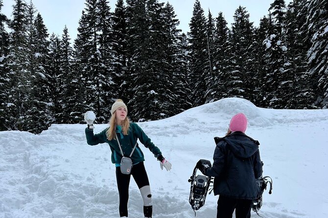Mount Rainier Private Full Day — Sprinter Van or SUV - What you get for $350 per person, value check