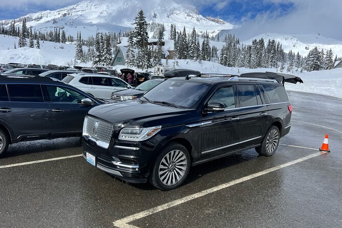 Mount Rainier Private Full Day — Sprinter Van or SUV - Who this Mount Rainier day suits best (and who should go DIY)