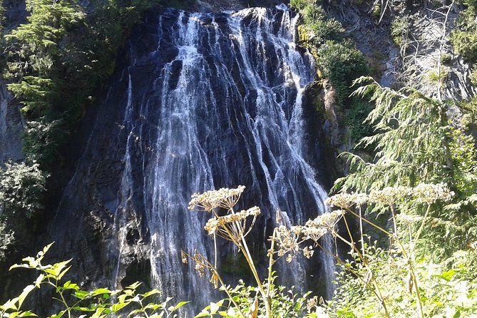 Mount Rainier Tour from Seattle - Walking Options, From No Walk to Moderate Paths