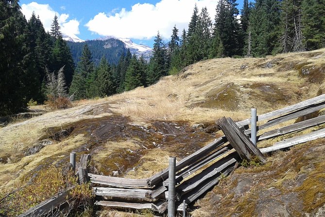 Mount Rainier Tour from Seattle - Snacks, Water, and the Little Comfort Wins