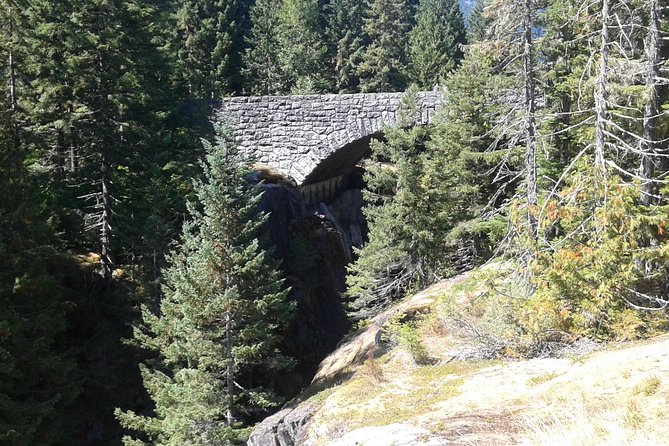 Mount Rainier Tour from Seattle - Price and Value: What $462.37 Per Person Really Buys