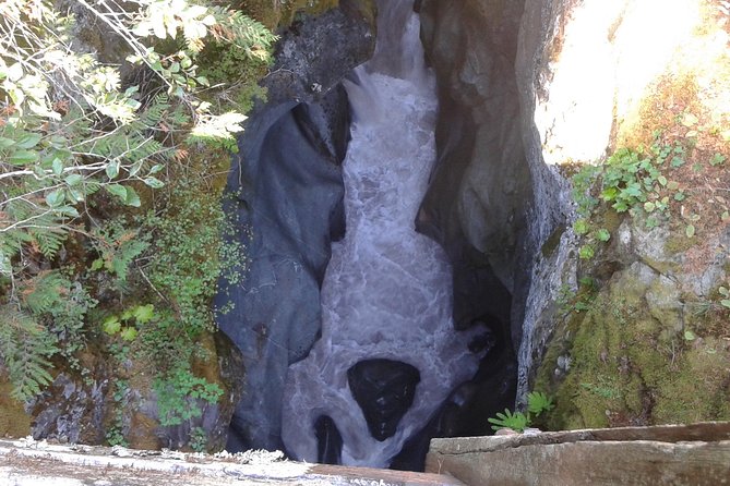 Mount Rainier Tour from Seattle - Who This Day Trip Fits Best