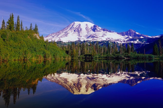 Mt. Rainier Day Tour from Seattle - Henry M. Jackson Visitor Center: Lunch, Wildlife Spotting, and a Real Break