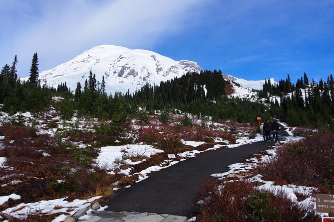 Mt. Rainier Day Tour from Seattle - Reflection Lakes, Tipsoo Lake, and Twin Firs: How the Day Adapts