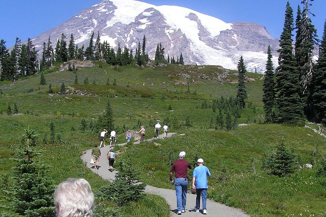 Mt. Rainier Day Tour from Seattle - Price and Value: What You Pay For (And What You Do Not)