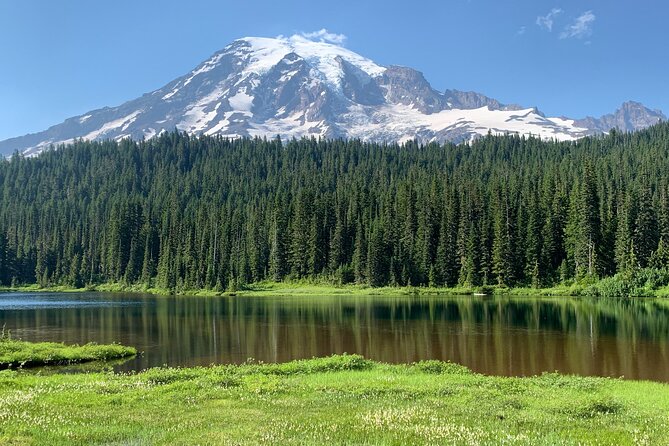 Mt. Rainier highlights - old forest, falls and glaciers - Old-growth forest time at Longmire