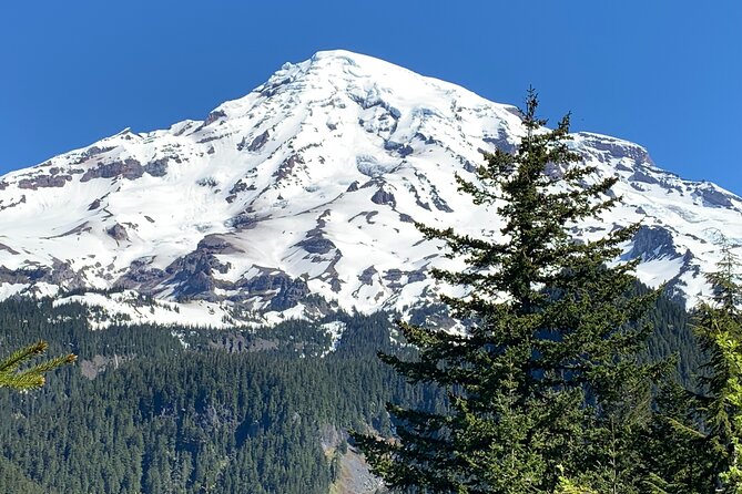 Mt. Rainier highlights - old forest, falls and glaciers - Winter and spring: snowshoeing with included gear