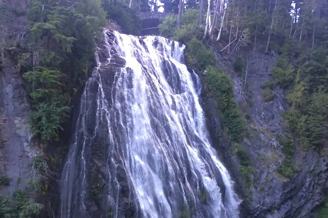 Mt. Rainier highlights - old forest, falls and glaciers - How the small-group format changes your day