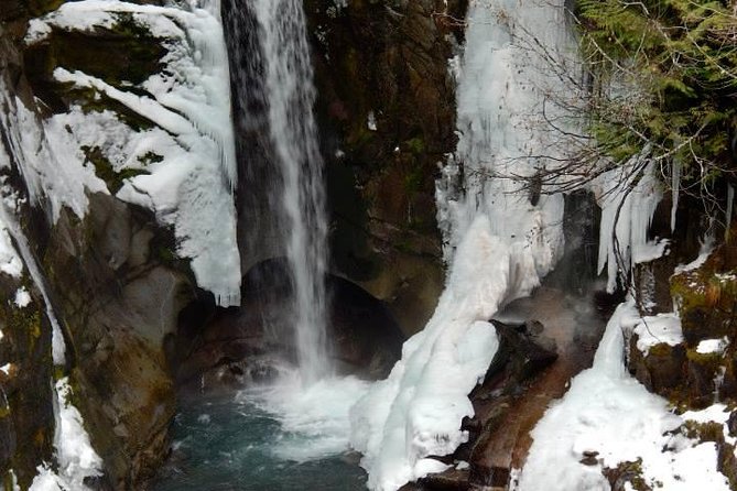 Mt. Rainier National Park Highlights Tour - Setting Off From Seattle With Hotel Pickup and a Real Schedule