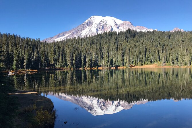 Mt. Rainier National Park Highlights Tour - Christine Falls Viewpoint and Narada Falls, Two Short Stops That Deliver