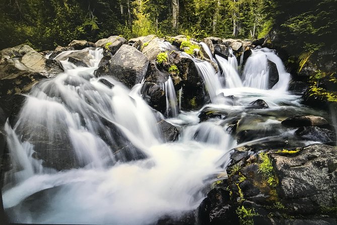 Mt. Rainier National Park Highlights Tour - Old-Growth Forest on the Twin Firs Loop Trail